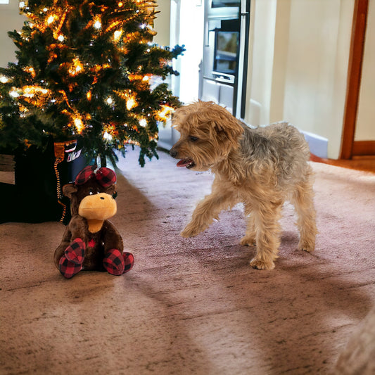 Moose Crinkle Dog Toy