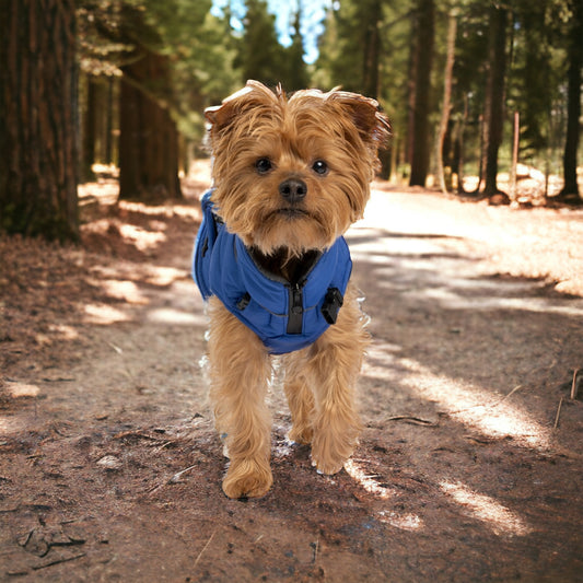 Blue Monty Dog Jacket