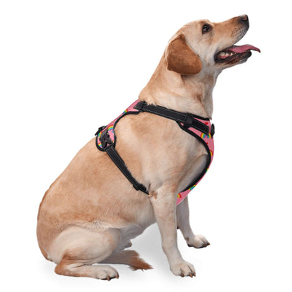 pink and rainbow pattern pet harness on a happy dog, adjustable fit in sizes S-XL, perfect pride merch for pets!